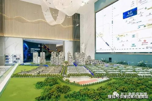 南非服务器租赁费用分析与案例解读