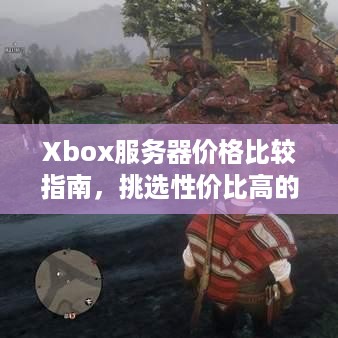 Xbox服务器价格比较指南，挑选性价比高的服务器