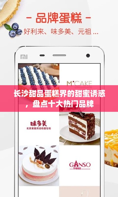 长沙甜品蛋糕界的甜蜜诱惑，盘点十大热门品牌