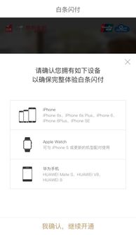 白条临时额度能否套出来？案例分析与说明