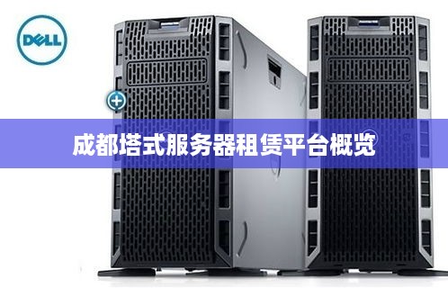成都塔式服务器租赁平台概览