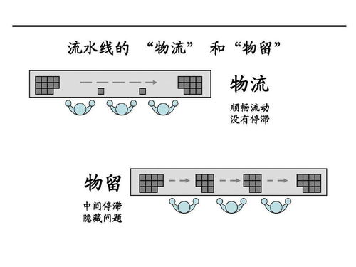 羊小咩便荔卡套出来翻倍，案例分析与策略解读