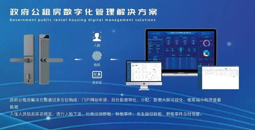 房屋租赁中介的服务器，如何确保高效与安全？