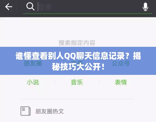 谁懂查看别人QQ聊天信息记录？揭秘技巧大公开！