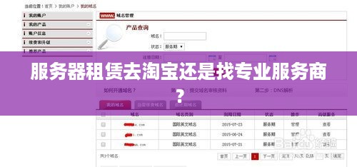 服务器租赁去淘宝还是找专业服务商？