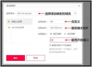 服务器租赁去淘宝还是找专业服务商？