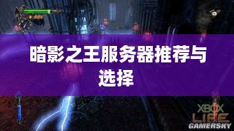 暗影之王服务器推荐与选择