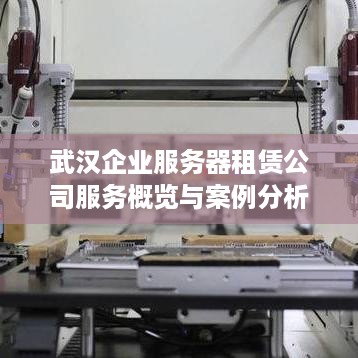 武汉企业服务器租赁公司服务概览与案例分析