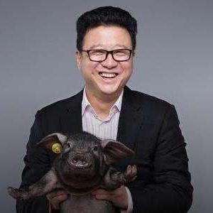 网易流畅租赁服务器错误分析与应对策略