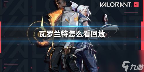 拳头官网瓦罗兰特服务器揭秘