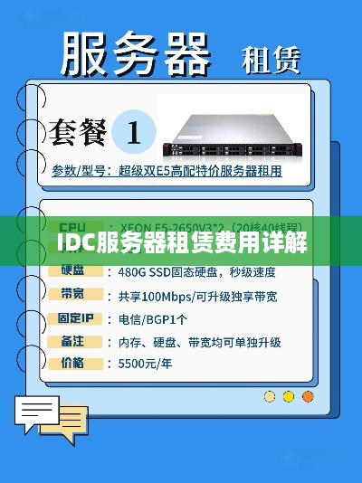 IDC服务器租赁费用详解