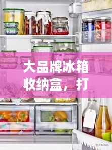 大品牌冰箱收纳盒，打造厨房整洁新天地