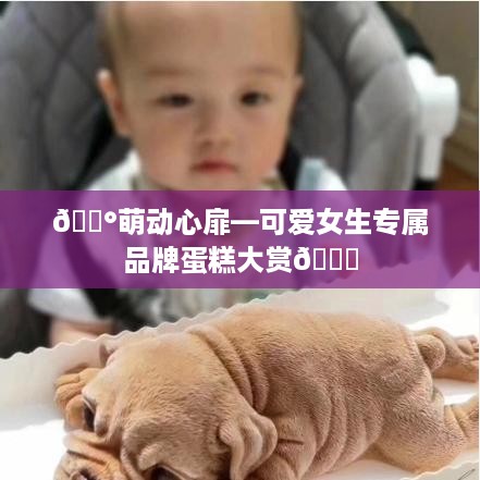 🍰萌动心扉—可爱女生专属品牌蛋糕大赏🎂