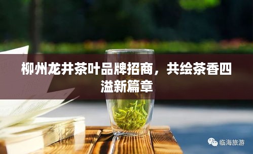 柳州龙井茶叶品牌招商，共绘茶香四溢新篇章