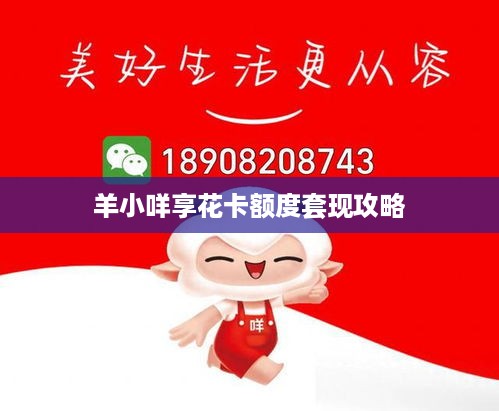 羊小咩享花卡额度套现攻略
