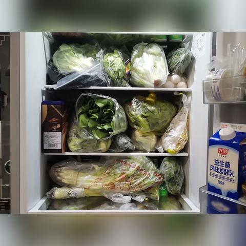 上海最早的进口冰箱品牌，见证中国家电市场的变迁
