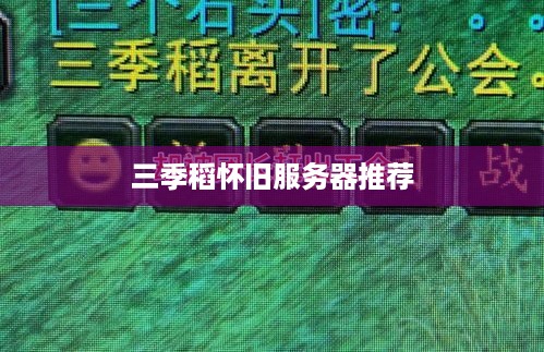 三季稻怀旧服务器推荐