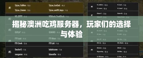 揭秘澳洲吃鸡服务器，玩家们的选择与体验