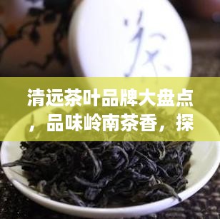 清远茶叶品牌大盘点，品味岭南茶香，探寻地方特色