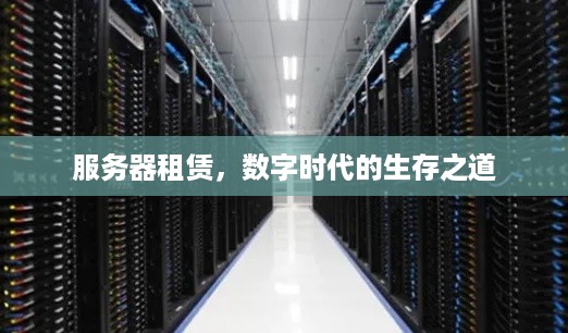 服务器租赁，数字时代的生存之道