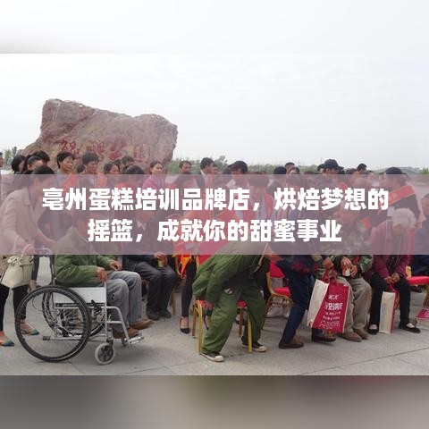 亳州蛋糕培训品牌店，烘焙梦想的摇篮，成就你的甜蜜事业