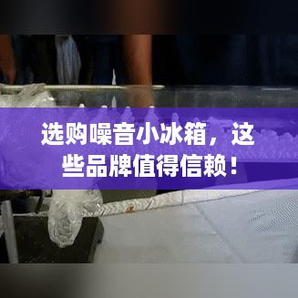 选购噪音小冰箱，这些品牌值得信赖！
