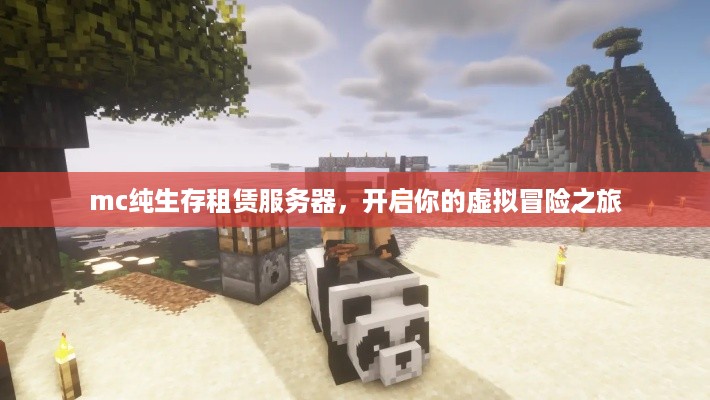 mc纯生存租赁服务器，开启你的虚拟冒险之旅