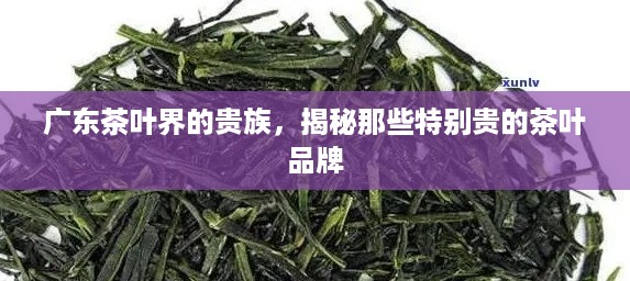 广东茶叶界的贵族，揭秘那些特别贵的茶叶品牌