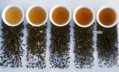 广东茶叶界的贵族，揭秘那些特别贵的茶叶品牌