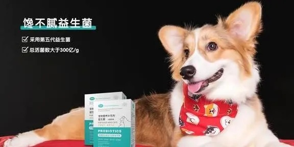 柯基卫生巾，打造宠物专属的自制品牌，呵护毛孩的私密时光