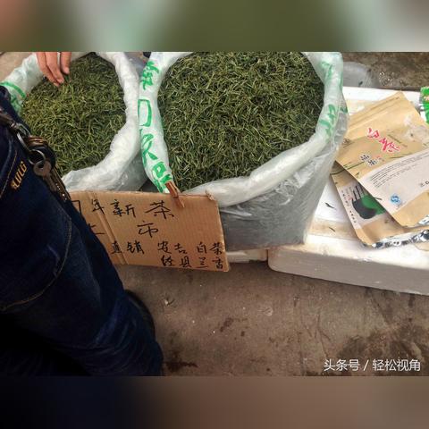 茶叶直销基地热门品牌盘点，品质生活从一杯好茶开始