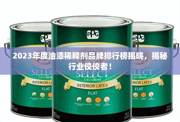 2023年度油漆稀释剂品牌排行榜揭晓，揭秘行业佼佼者！