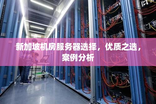 新加坡机房服务器选择，优质之选，案例分析
