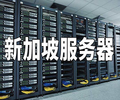 新加坡机房服务器选择，优质之选，案例分析