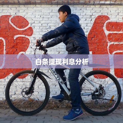 白条提现利息分析