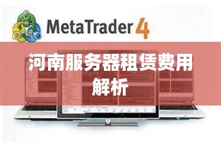河南服务器租赁费用解析