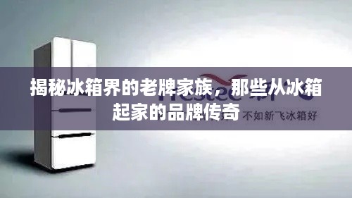 揭秘冰箱界的老牌家族，那些从冰箱起家的品牌传奇
