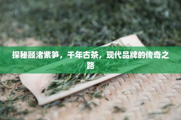 探秘顾渚紫笋，千年古茶，现代品牌的传奇之路