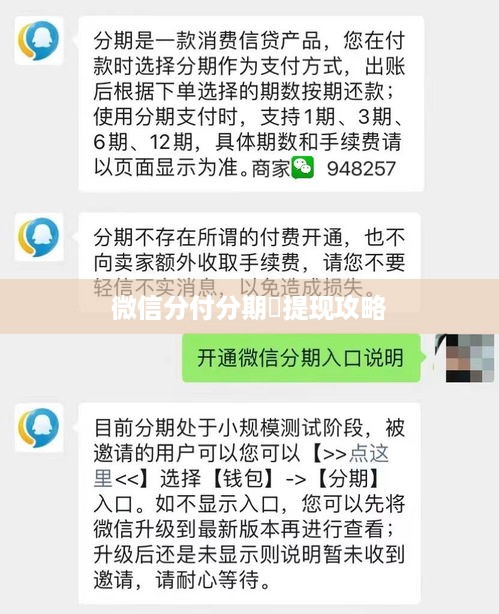 微信分付分期劵提现攻略