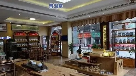 南阳茶叶品牌店大盘点，品味茶香，尽在南阳