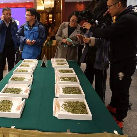 轻松掌握茶叶注册品牌商标流程—视频教程详解
