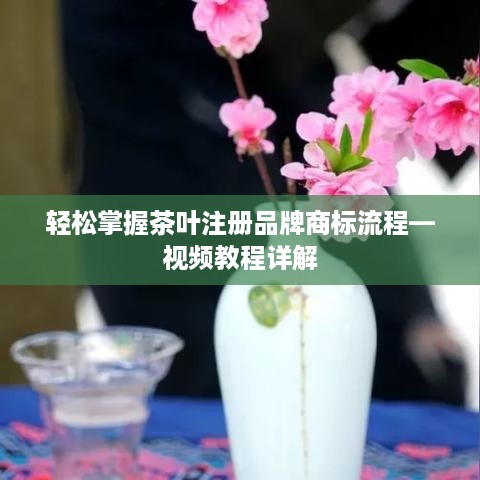 轻松掌握茶叶注册品牌商标流程—视频教程详解