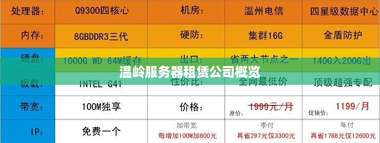 温岭服务器租赁公司概览
