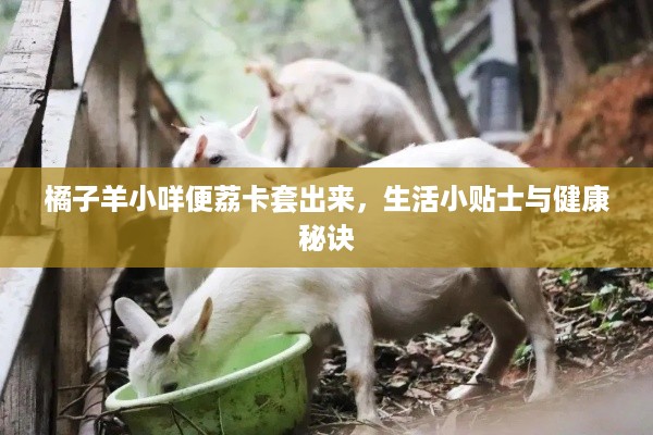 橘子羊小咩便荔卡套出来，生活小贴士与健康秘诀