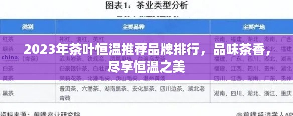 2023年茶叶恒温推荐品牌排行，品味茶香，尽享恒温之美