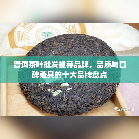 普洱茶叶批发推荐品牌，品质与口碑兼具的十大品牌盘点