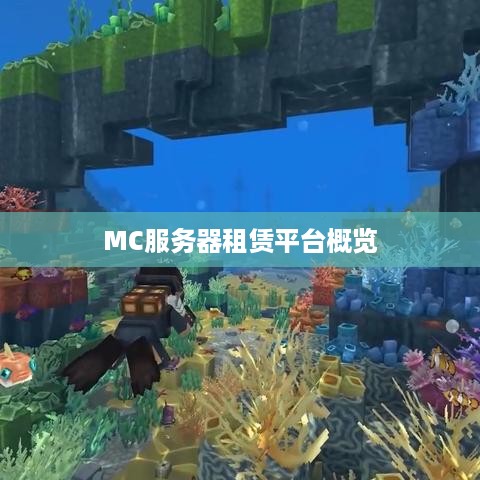 MC服务器租赁平台概览