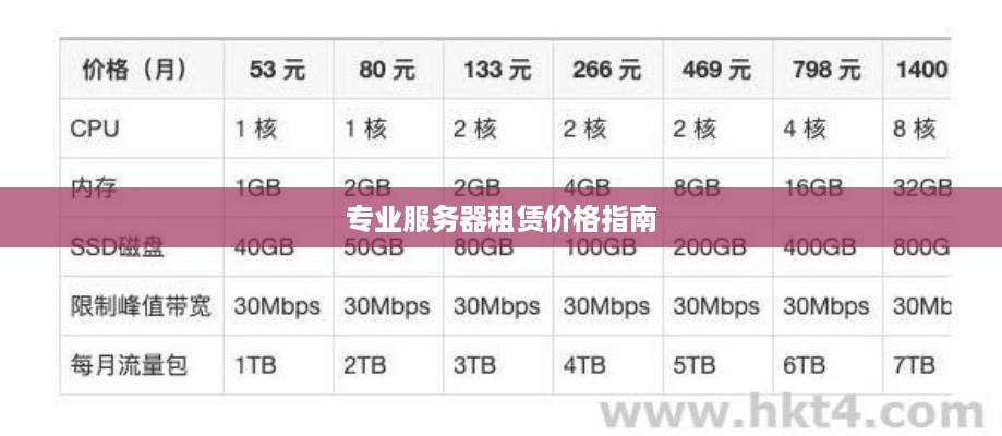 专业服务器租赁价格指南