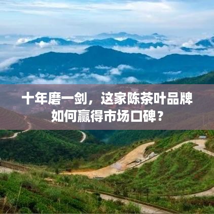 十年磨一剑，这家陈茶叶品牌如何赢得市场口碑？