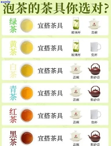 茶叶茶壶品牌排行大盘点，选对壶，泡好茶！